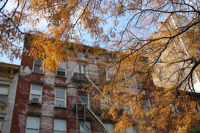 This is a photo of a brick building with fall foliage.